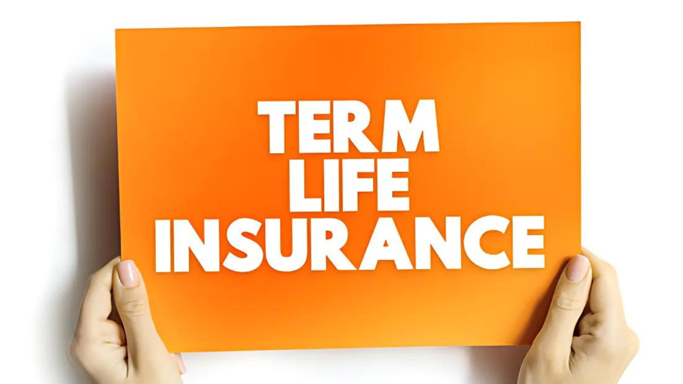 Term Insurance for HNIs in India how to choose term insurance coverage for themselves